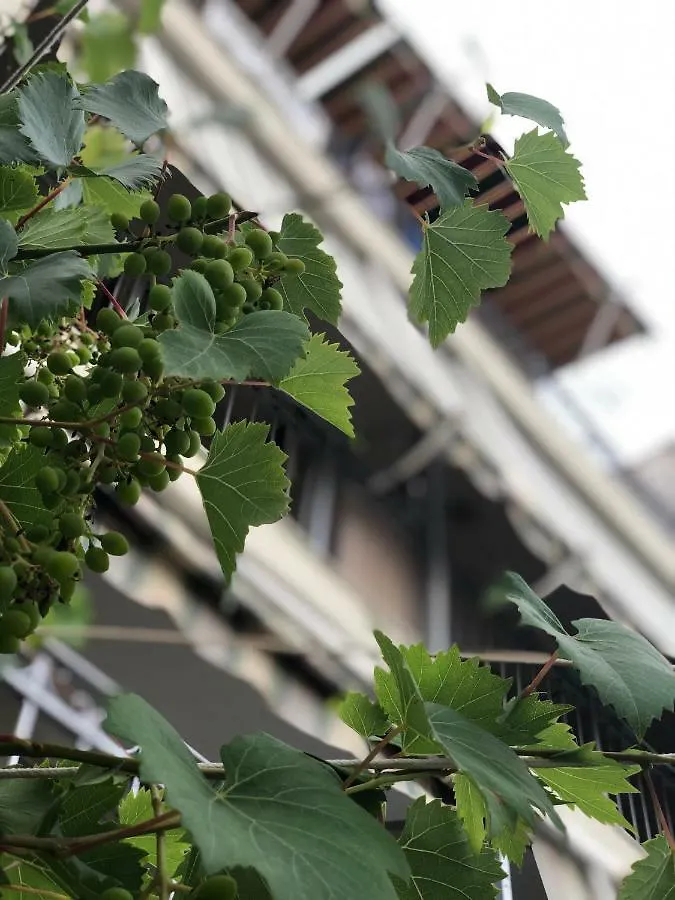 Konukevi Dhoma Plazhi Otel Spille Arnavutluk